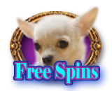 Free Spins