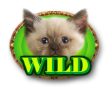 Wild